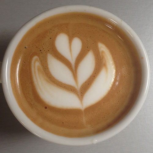 latte art barista workshop