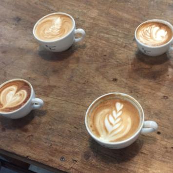 latte art barista workshop